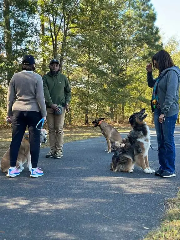 Kenneth Merritt with Merritt Dog Training Teaching dog training to dog owners in Charlotte north Carolina in a dog park.