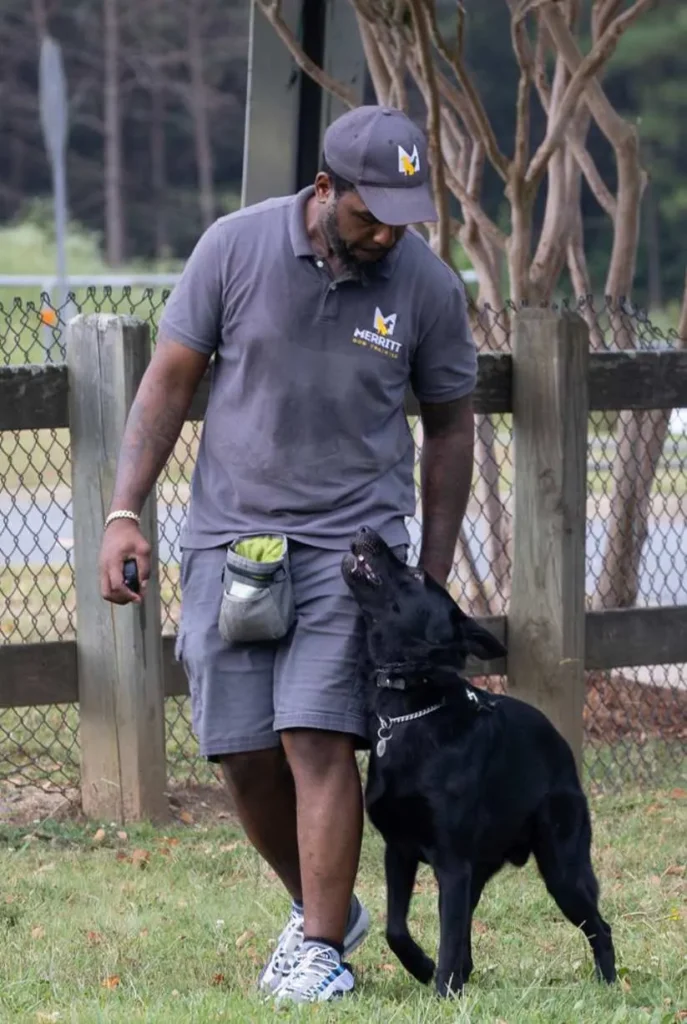 Kenneth Merritt from Merritt Dog Training doing a one on one private lesson with a black German shepherd in a backyard in Charlotte North Carolina