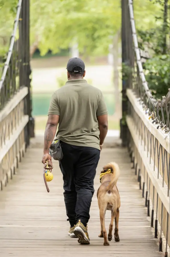 a man walking a dog on a bridge